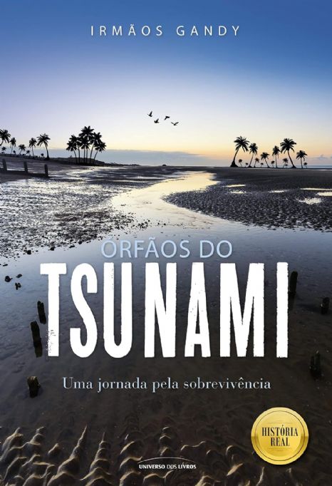orfaos-do-tsunami-irmaos-gandy